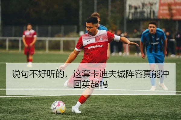 说句不好听的，这套卡迪夫城阵容真能冲回英超吗 | leyu