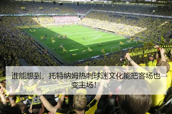 谁能想到，托特纳姆热刺球迷文化能把客场也变主场！ | leyu