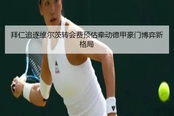 拜仁追逐维尔茨转会费预估牵动德甲豪门博弈新格局