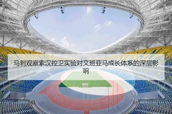 马刺观察索汉控卫实验对文班亚马成长体系的深层影响