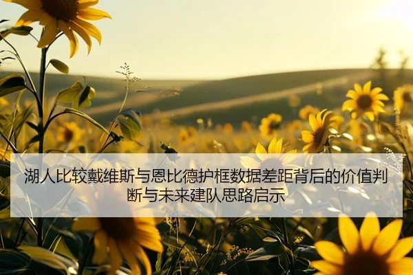 湖人比较戴维斯与恩比德护框数据差距背后的价值判断与未来建队思路启示